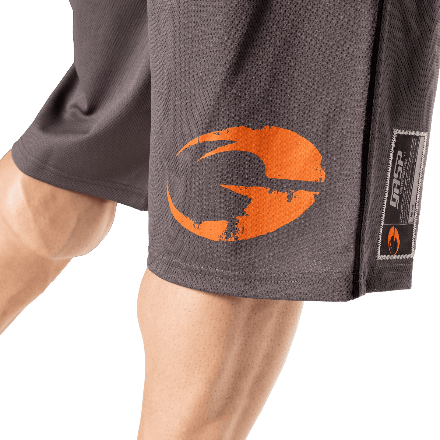 GASP Pro mesh shorts Grey